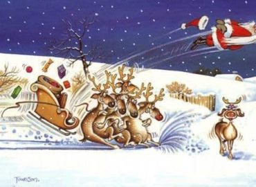 Humor21 3Frzzm4bedfk2dusrn5s0a